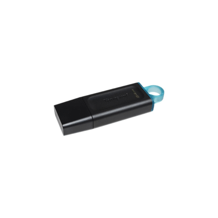 Kingston 64GB DTX Flash Drive