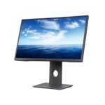 Dell P2417H 24" LCD Monitor (Used) – Full HD Display