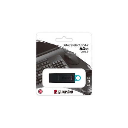 Kingston 64GB DTX Flash Drive